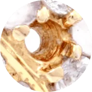 寶石缺失圖片(Image)
